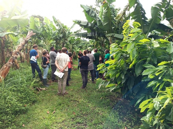 Visite du dispositif le 29-08-24. © Inès Feron, Cirad.jpg